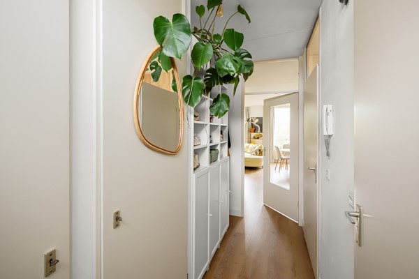 Raadhuisstraat 89 Beverwijk De Groot  25.JPG